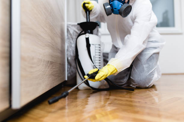 Wildlife Control Services in Norridge, IL