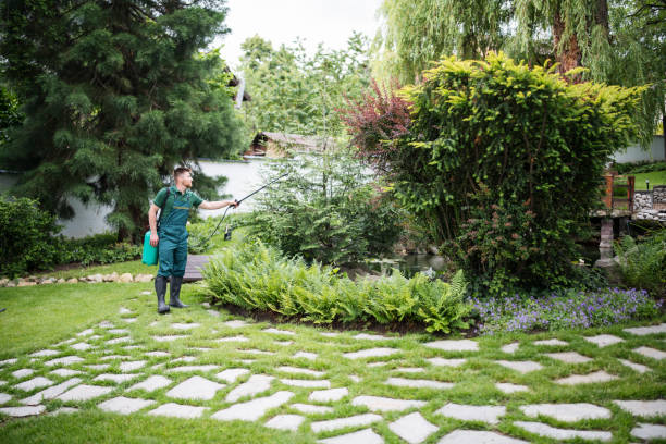 Best Affordable Pest Control Services  in Norridge, IL