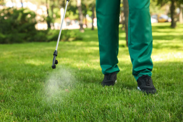 Best Pest Inspection Near Me  in Norridge, IL