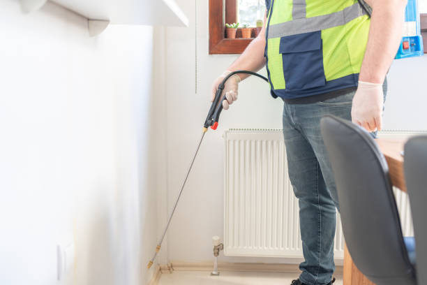 Best Affordable Pest Control Services  in Norridge, IL
