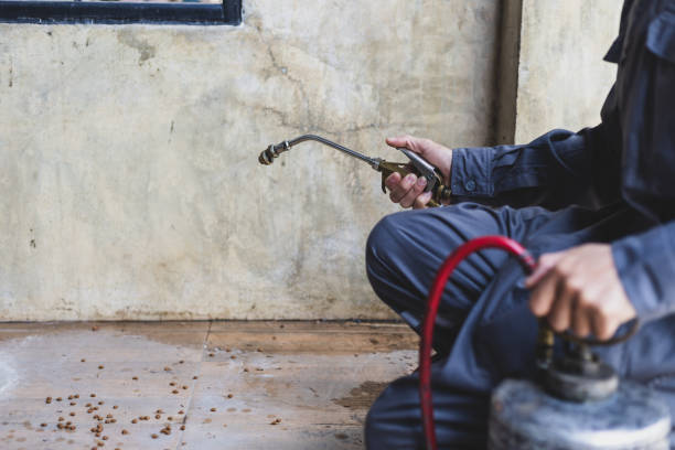 Pest Prevention Services in Norridge, IL
